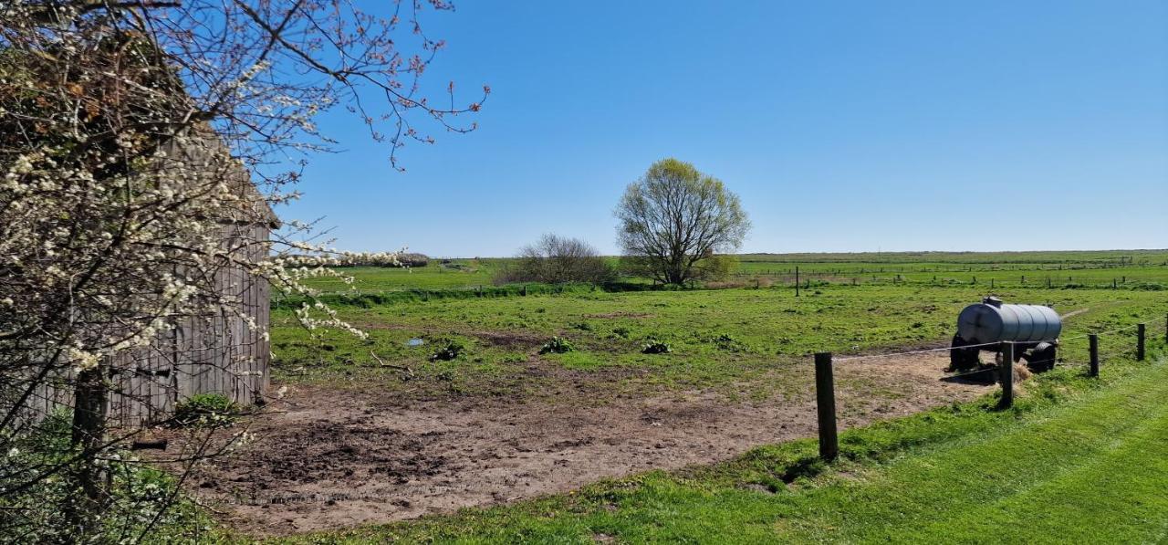 Ferienwohnung 'Kronsgaard' - Refugium Pottloch Ostsee Buitenkant foto