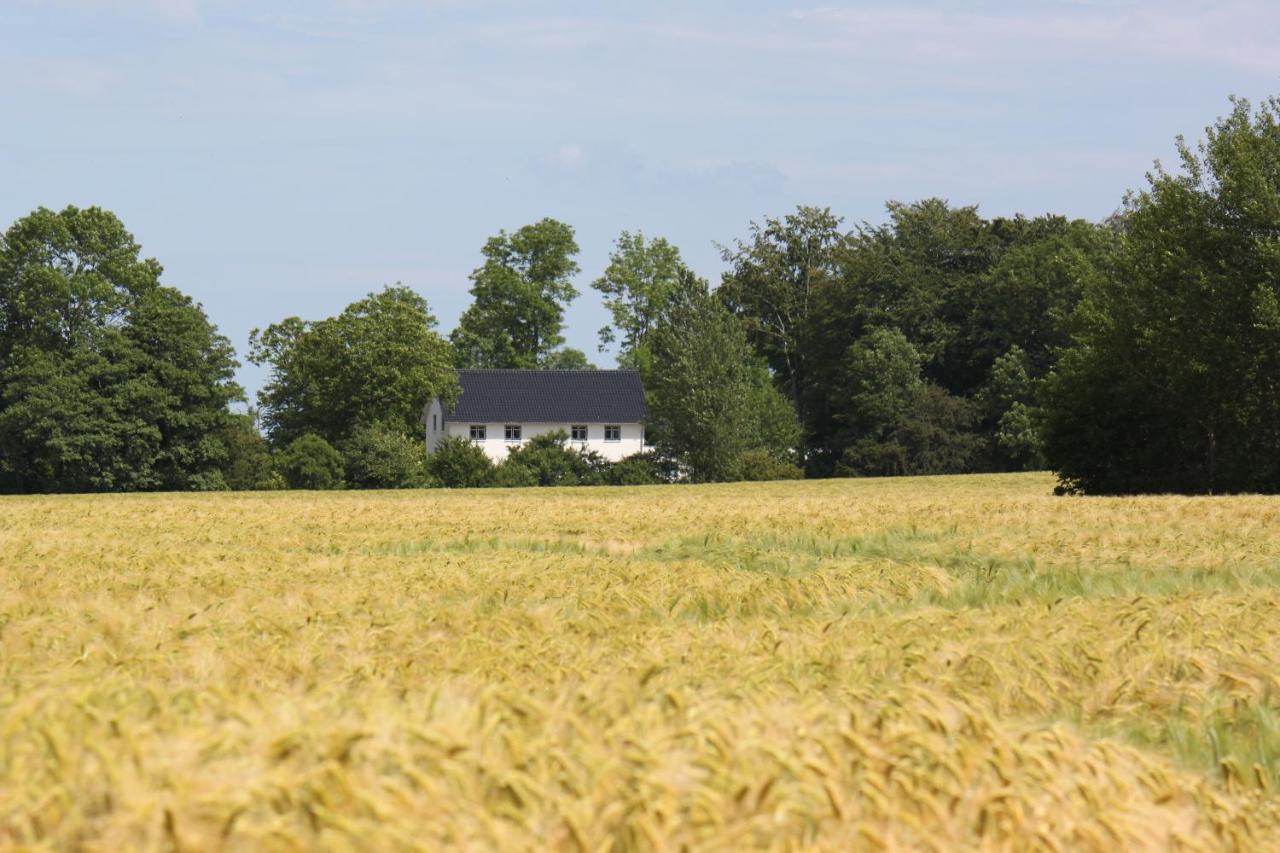 Ferienwohnung 'Kronsgaard' - Refugium Pottloch Ostsee Buitenkant foto